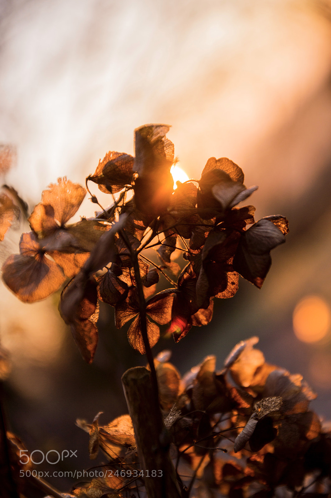 Nikon D3200 sample photo. After many rainy days photography
