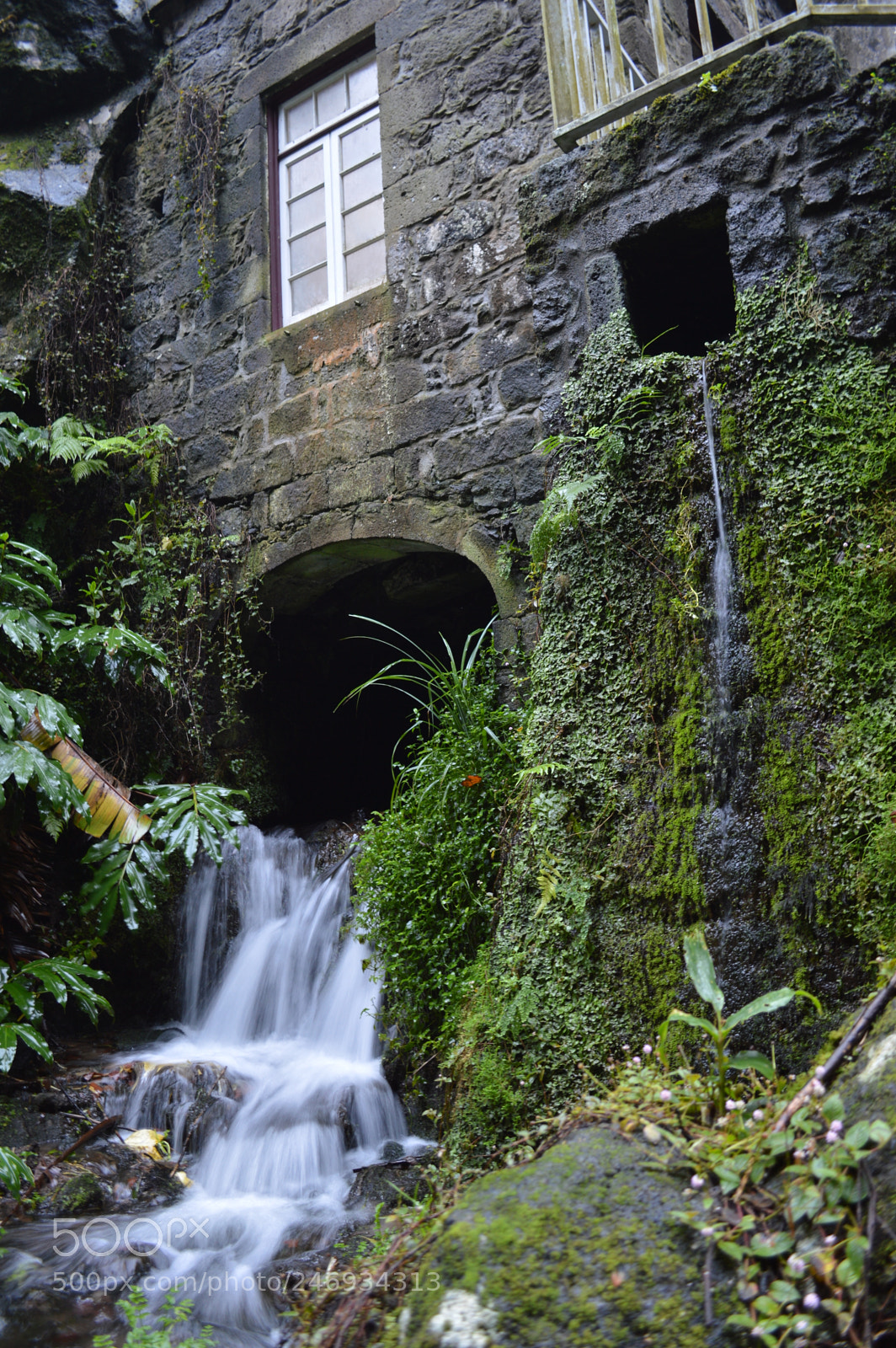 Nikon D3200 sample photo. Sao miguel ribeira dos photography