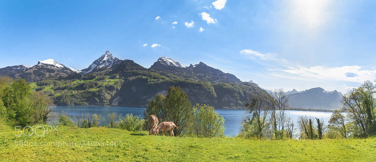 Nikon D750 sample photo. Swiss alpine scenery with photography