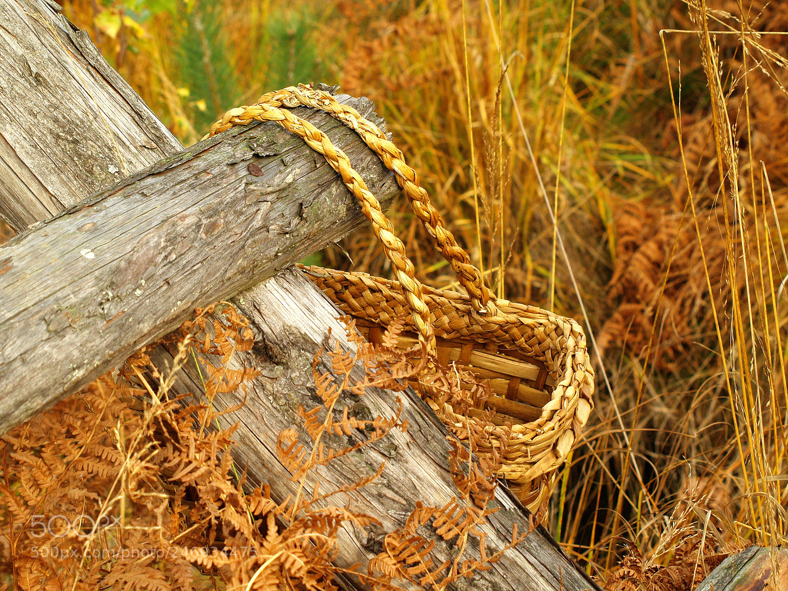 Olympus E-500 (EVOLT E-500) sample photo. . photography