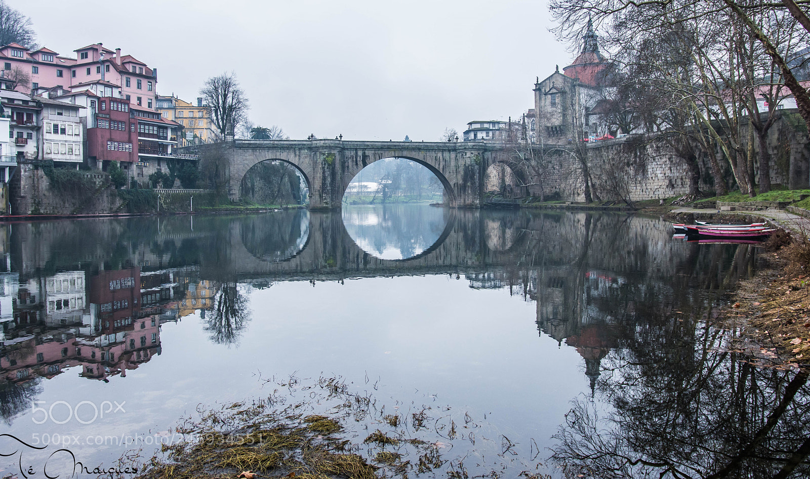 Nikon D7200 sample photo. The mists of t photography