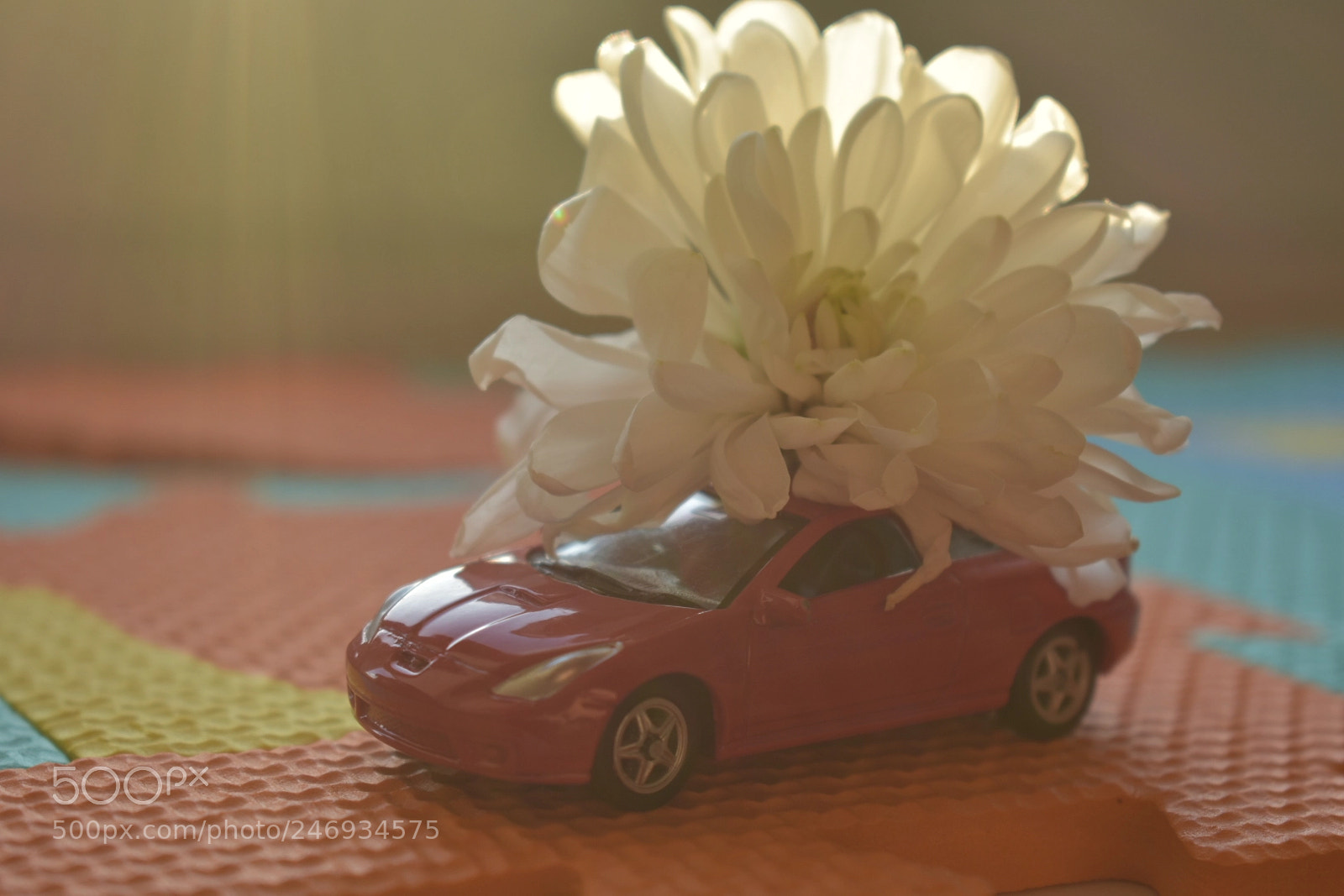 Nikon D3400 sample photo. Untitled photography