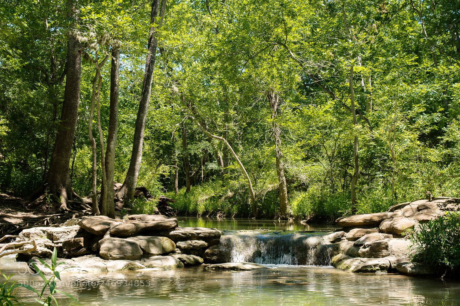 Nikon D7200 sample photo. Untitled photography