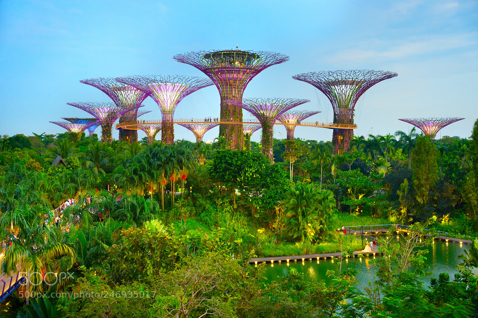 Nikon Df sample photo. Gardens by the bay photography