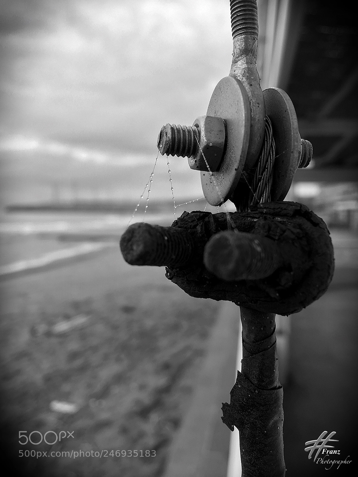 Apple iPhone 6s Plus sample photo. In a dream world photography
