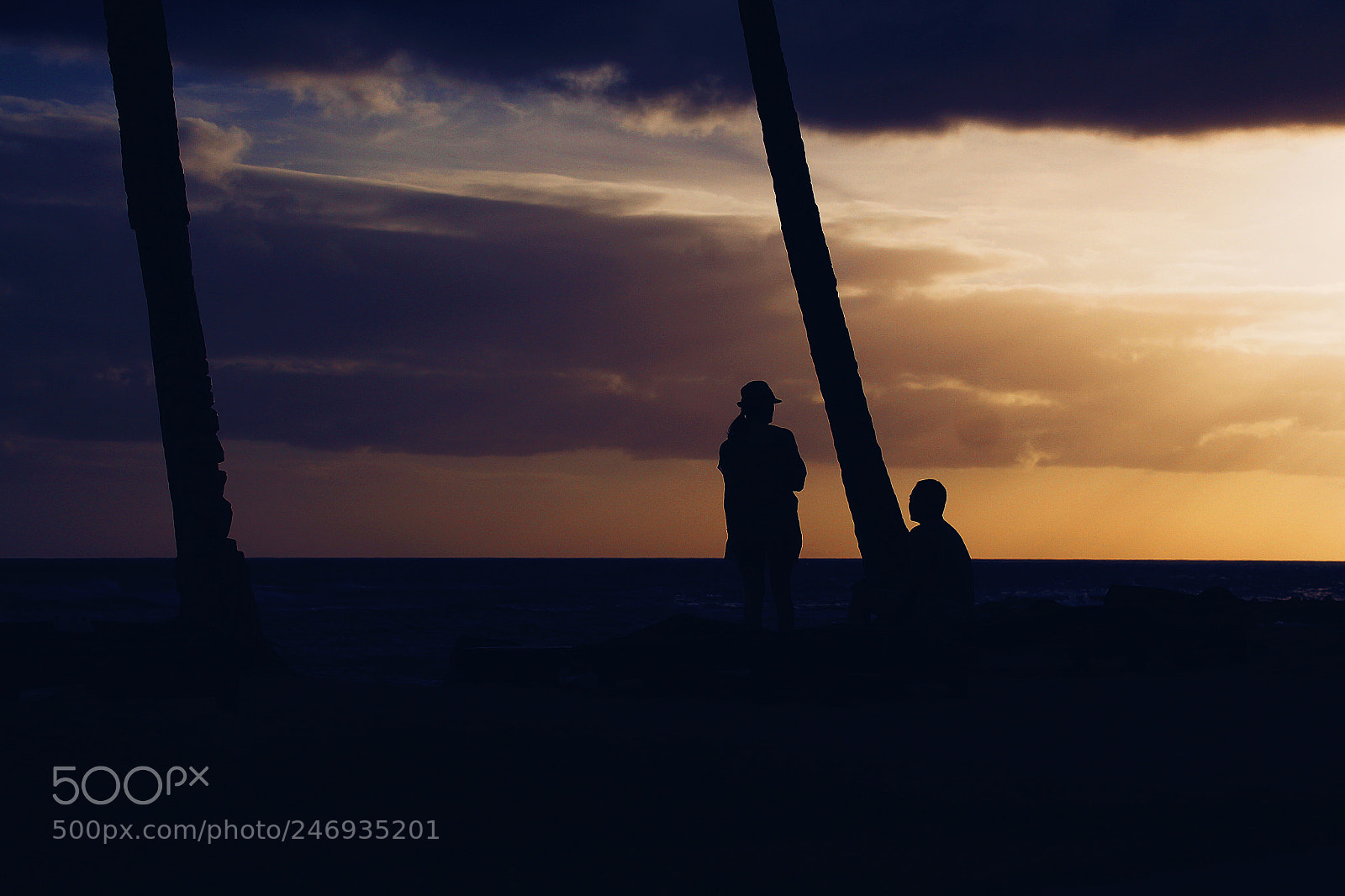 Canon EOS 650D (EOS Rebel T4i / EOS Kiss X6i) sample photo. Day dreams photography