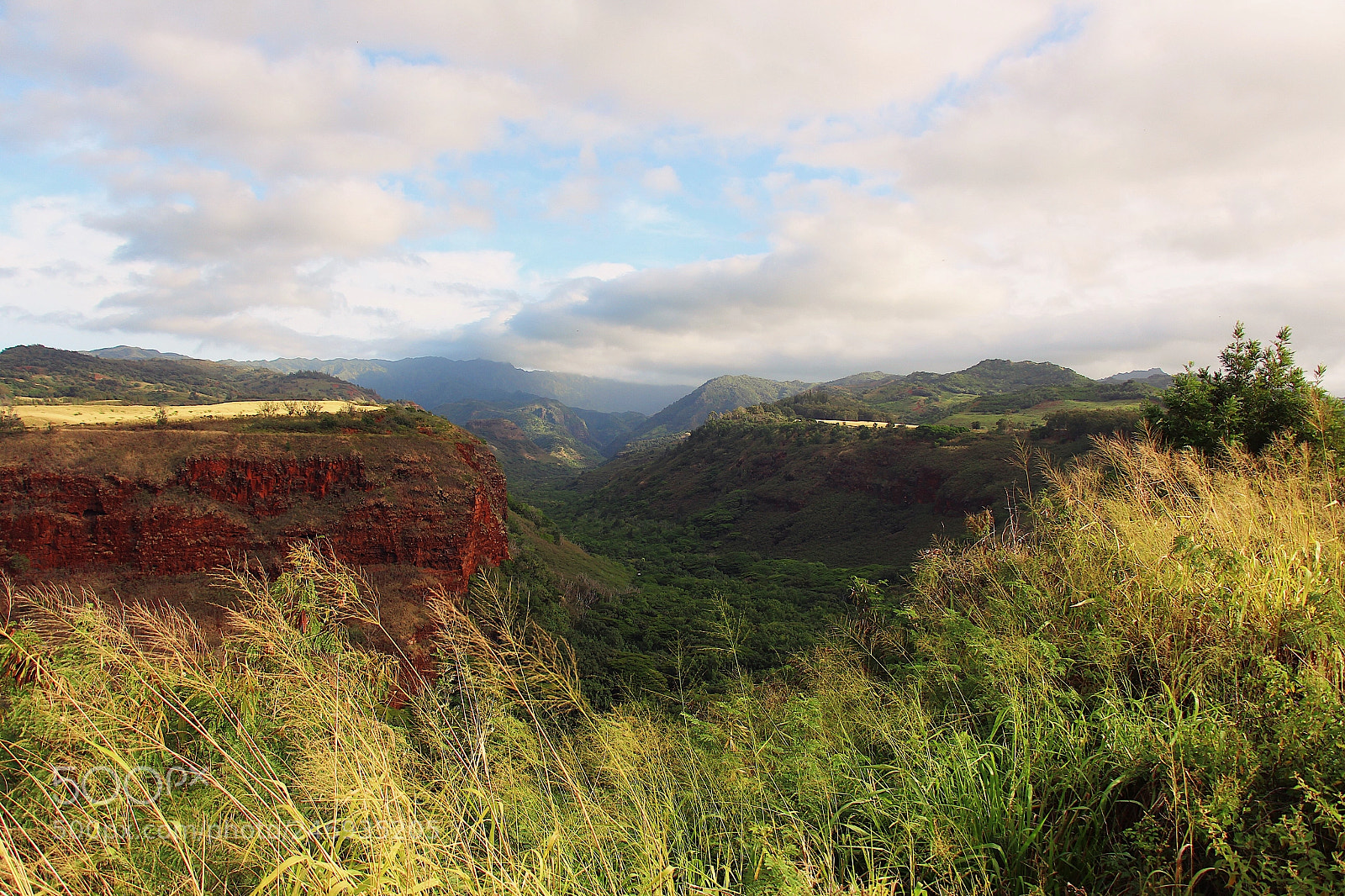Canon EOS 650D (EOS Rebel T4i / EOS Kiss X6i) sample photo. Kauai hillside photography