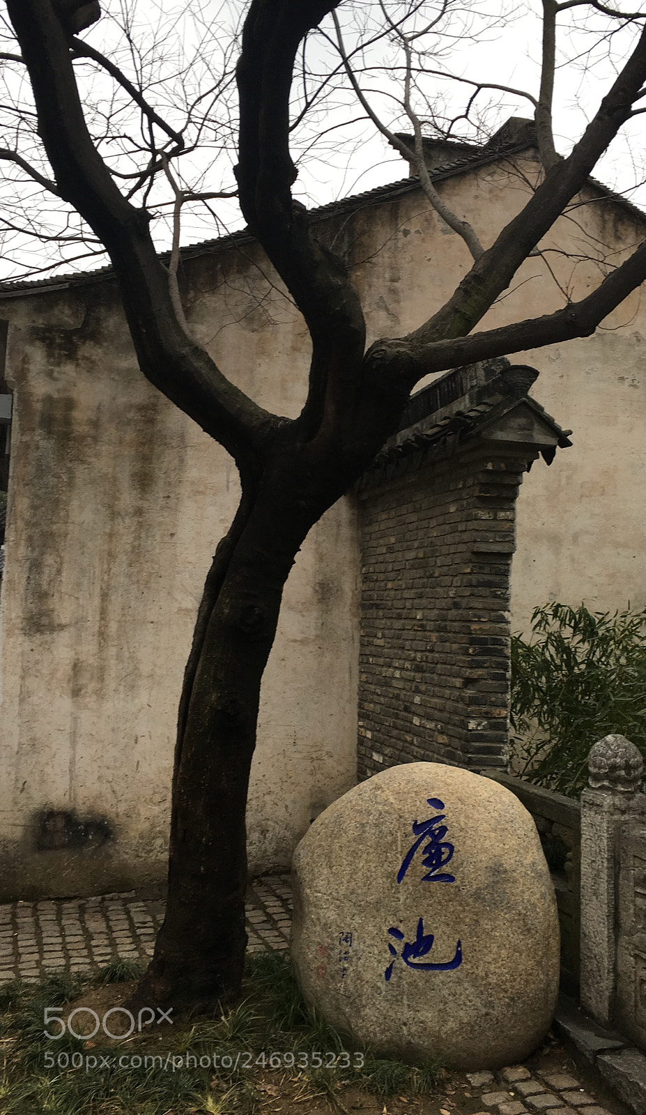 Apple iPhone 6s Plus sample photo. Untitled photography