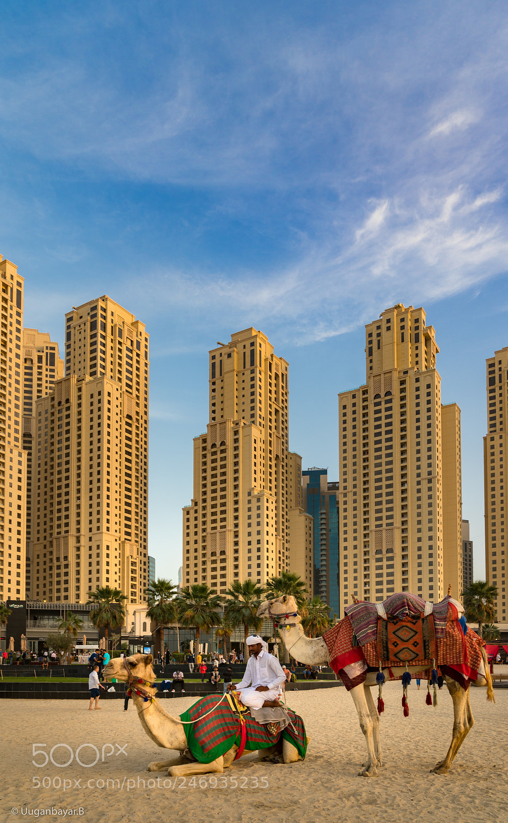 Sony a7R II sample photo. A camelman in dubai photography