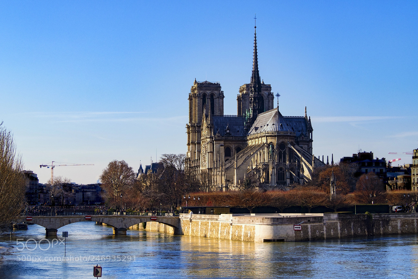 Olympus OM-D E-M10 II sample photo. Quasimodo's home photography