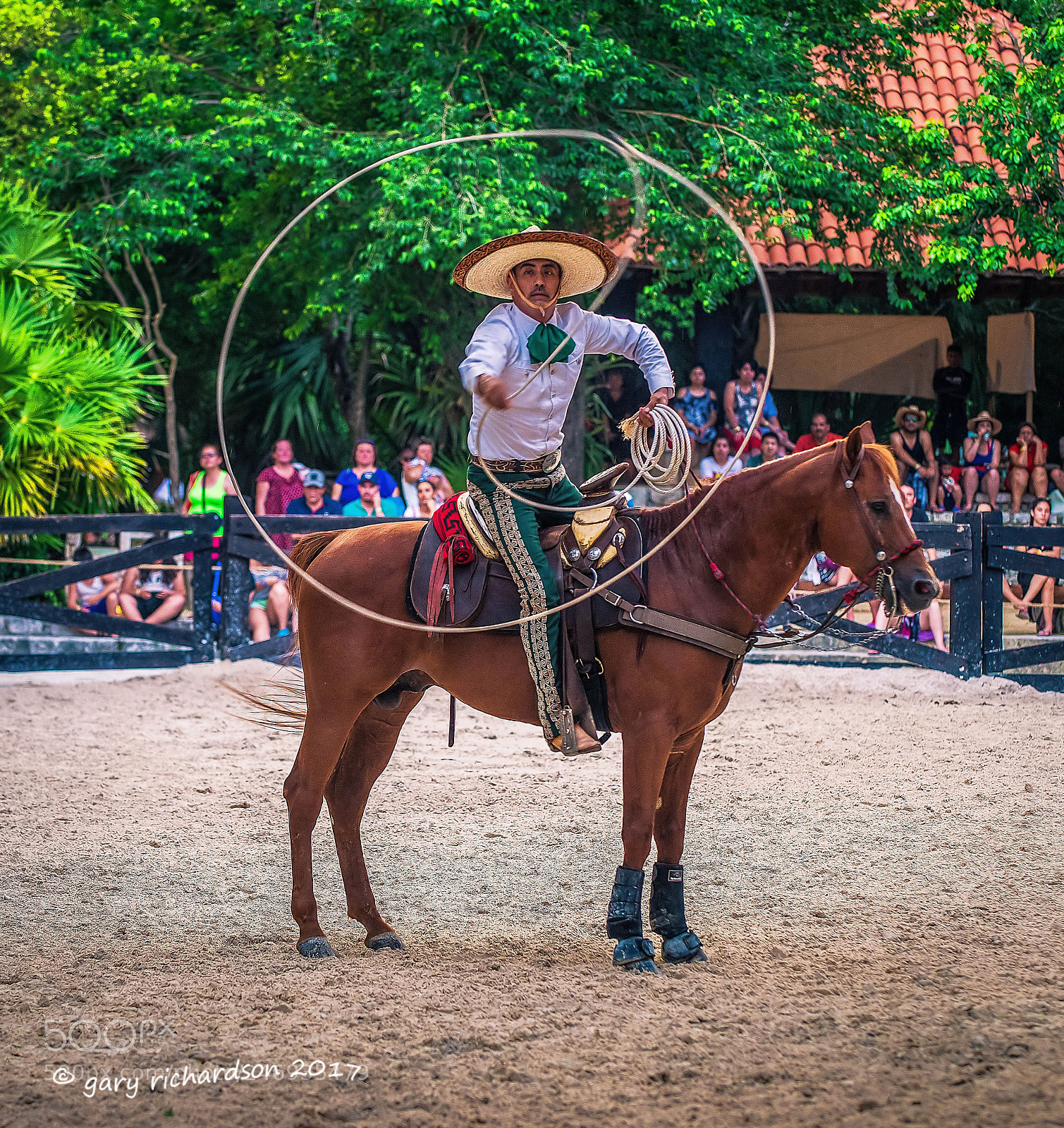 Nikon D810 sample photo. Horseman xcaret eco park () photography