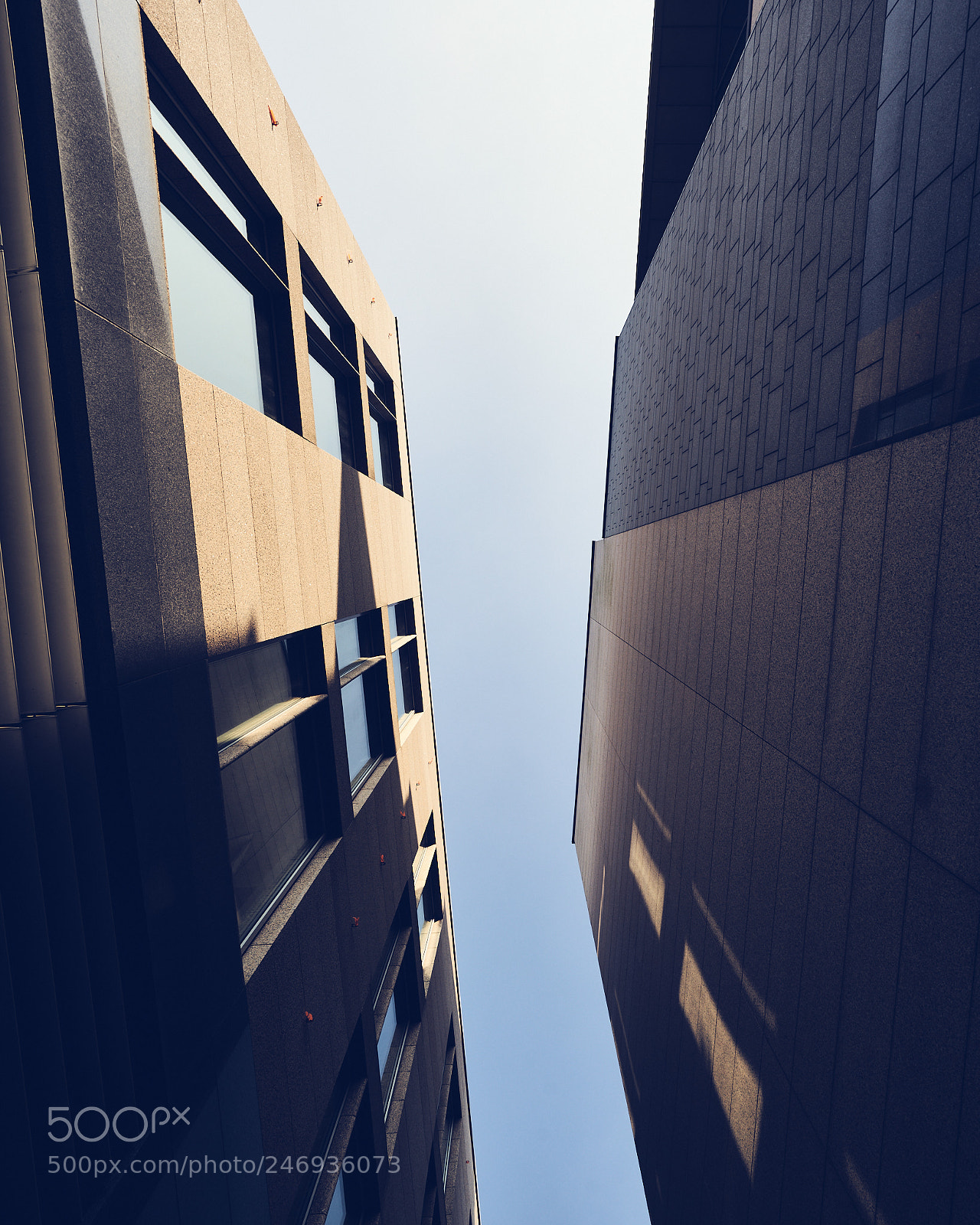 Sony a7R II sample photo. Day fifty two photography
