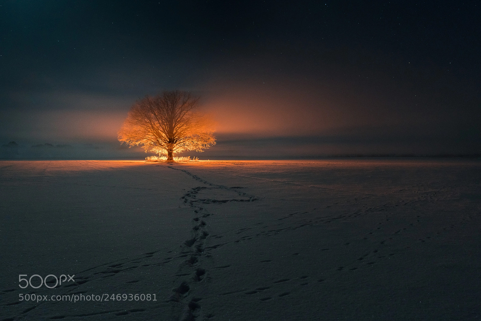 Sony a7R II sample photo. Light trail photography