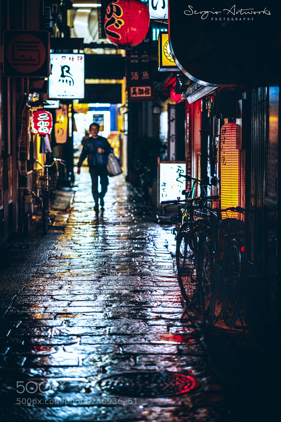 Sony a7 II sample photo. Hozennji, osaka photography