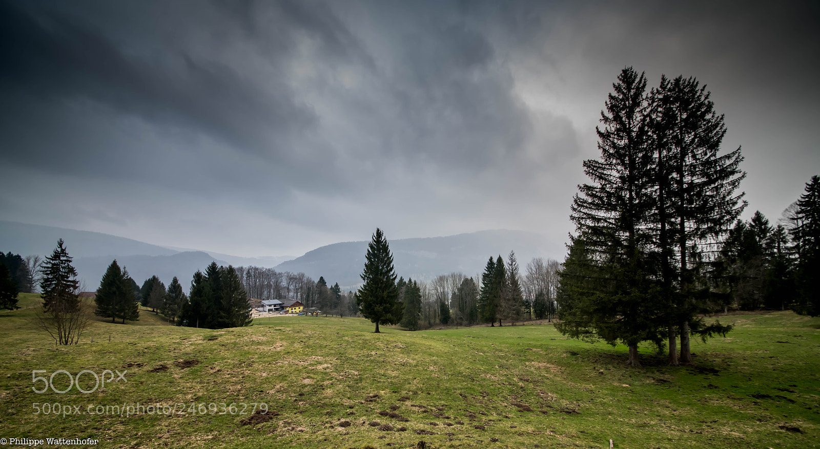 Nikon D850 sample photo. Pwr_0887.jpg photography