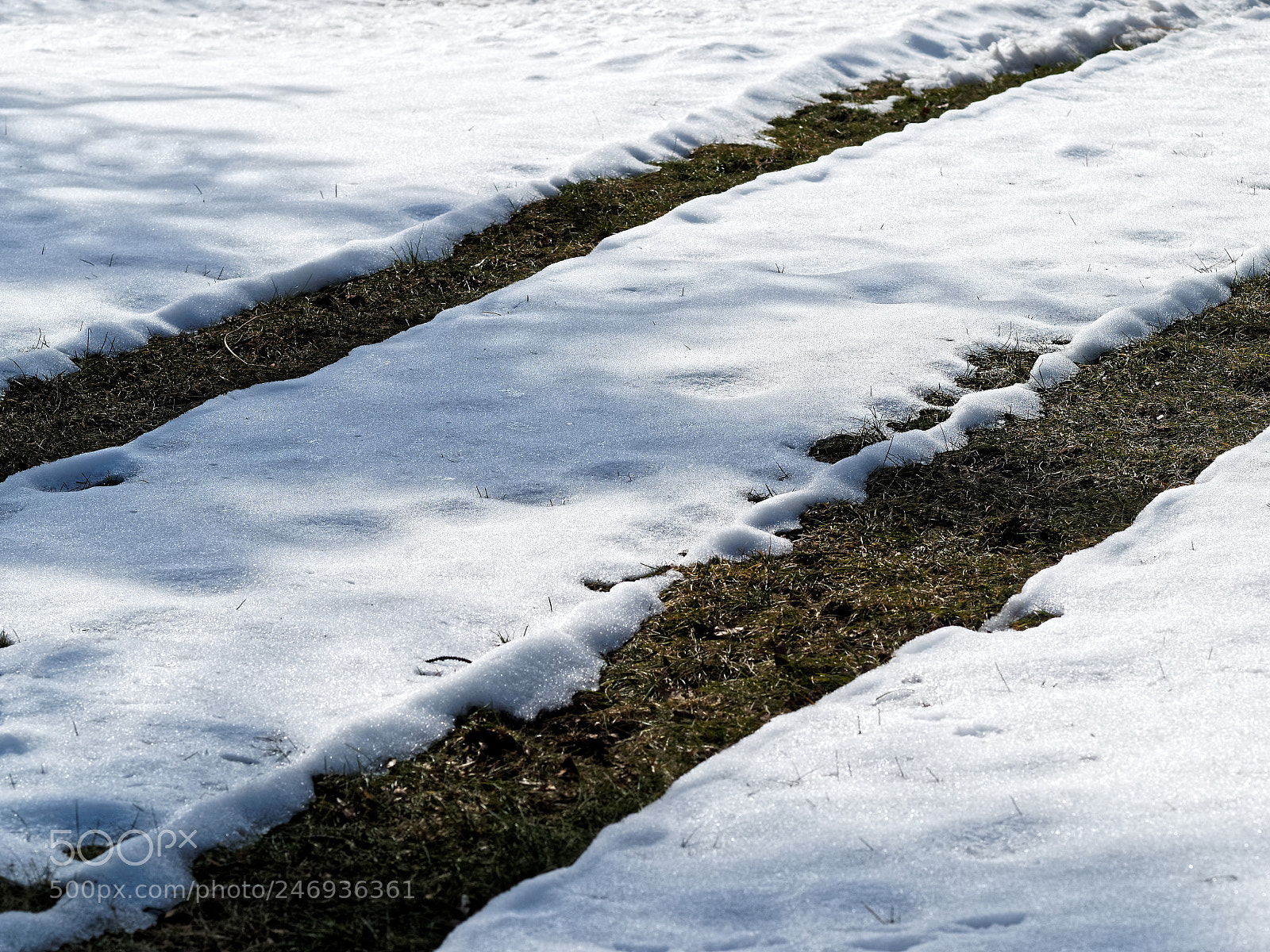 Olympus OM-D E-M1 sample photo. Tracks in the snow photography