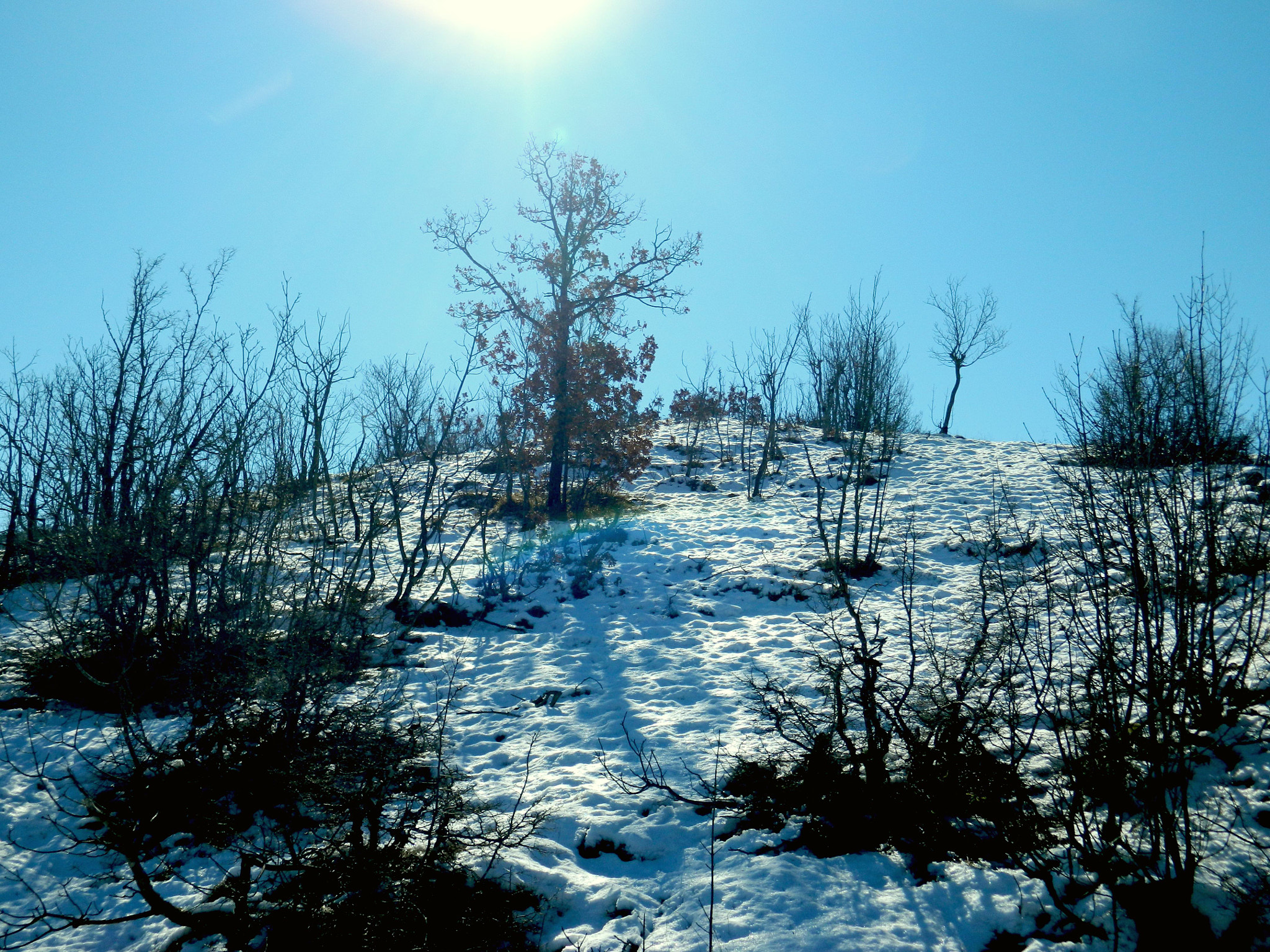 Nikon COOLPIX L310 sample photo. A little sky above us ... photography
