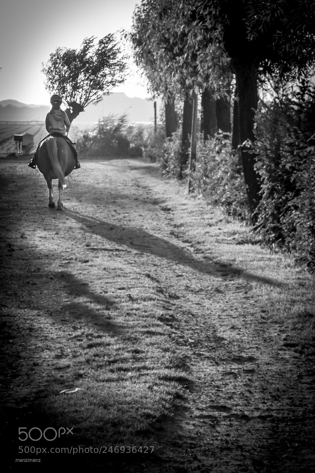 Canon EOS 600D (Rebel EOS T3i / EOS Kiss X5) sample photo. Lonesome cowgirl photography