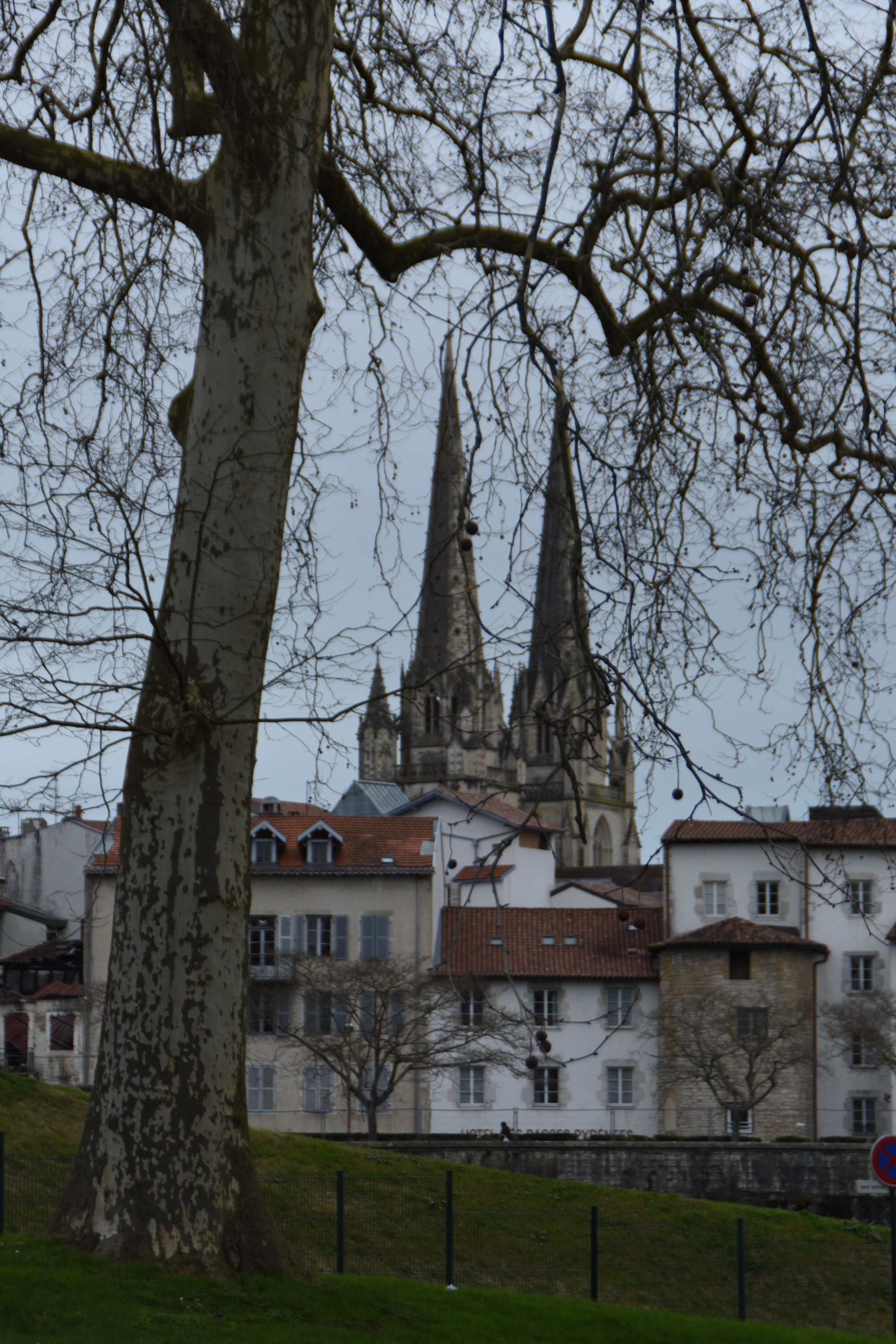 Nikon D7200 sample photo. Avenue andré grimard photography