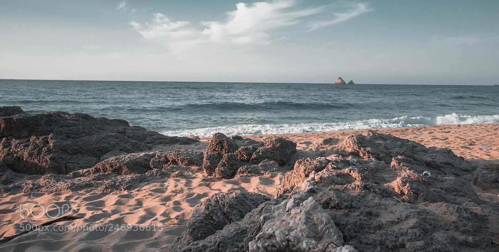 Nikon D600 sample photo. Leave me alone. photography