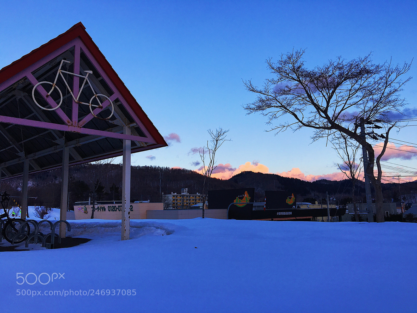 Apple iPhone 6s Plus sample photo. Ｓｈｉｎ＿Ｙｕｂａｒｉ photography