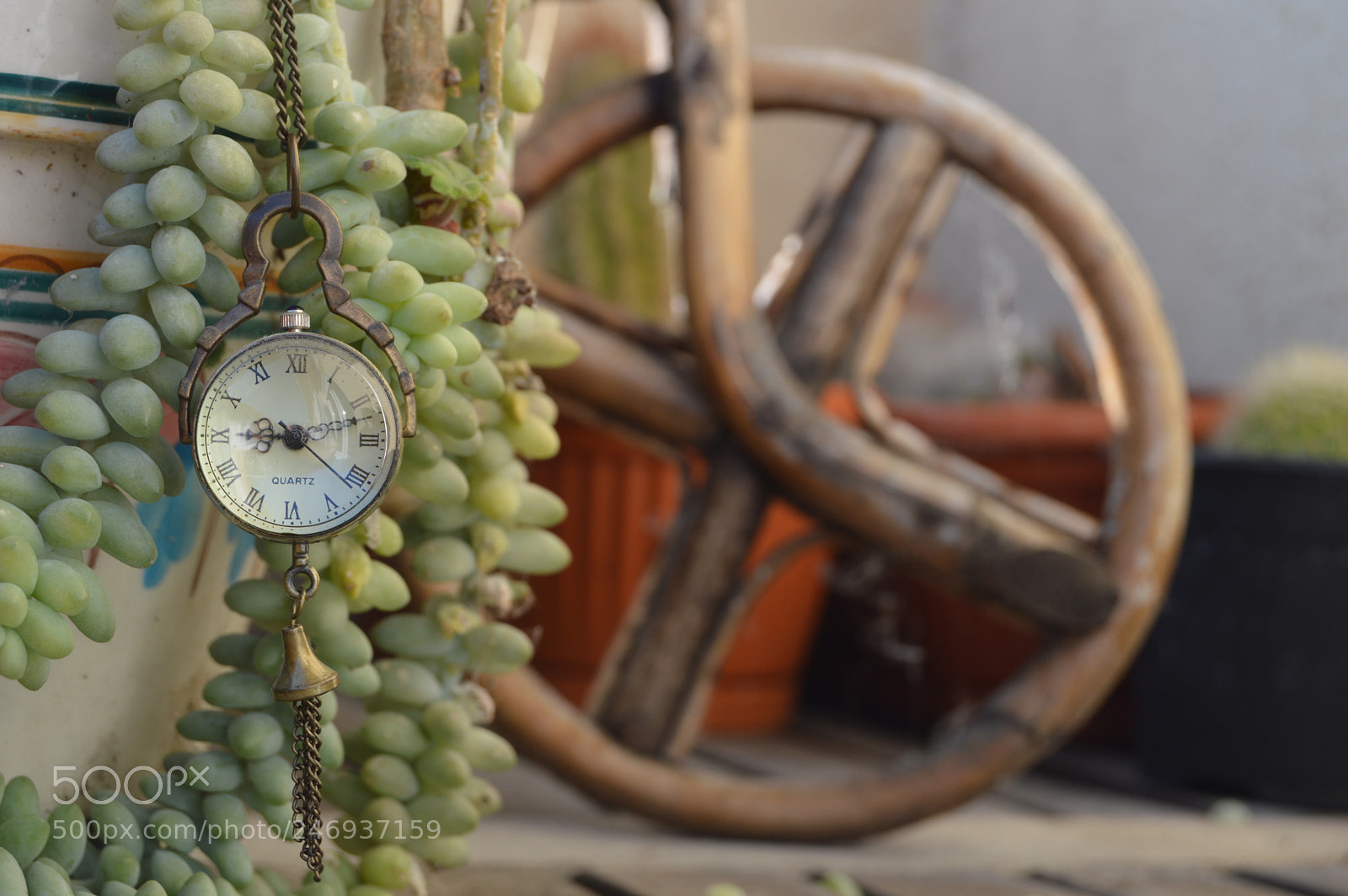 Nikon D3200 sample photo. Untitled photography