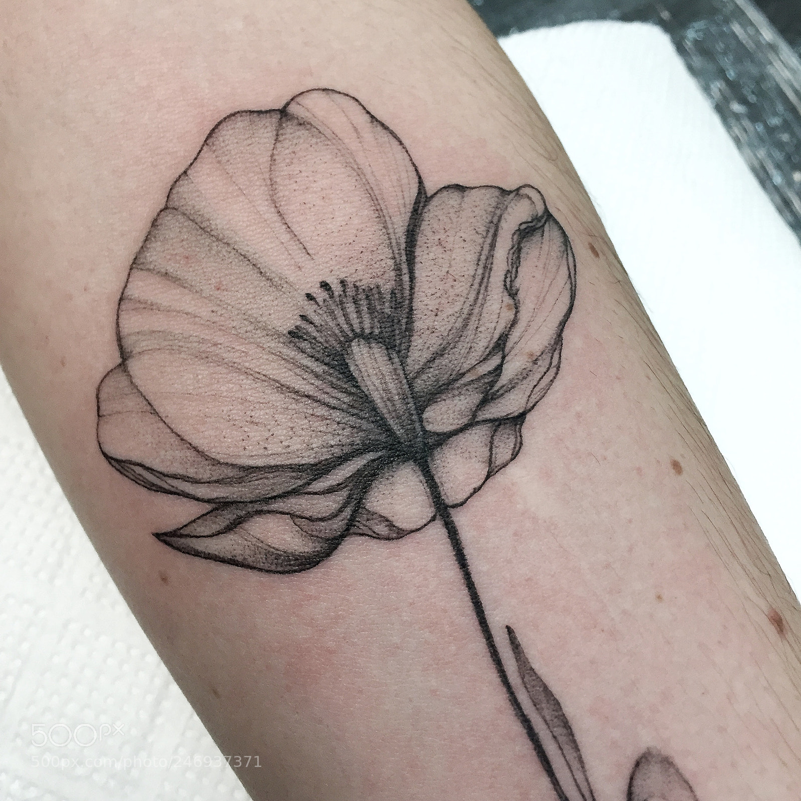 Apple iPhone 6 sample photo. Tattoo photography
