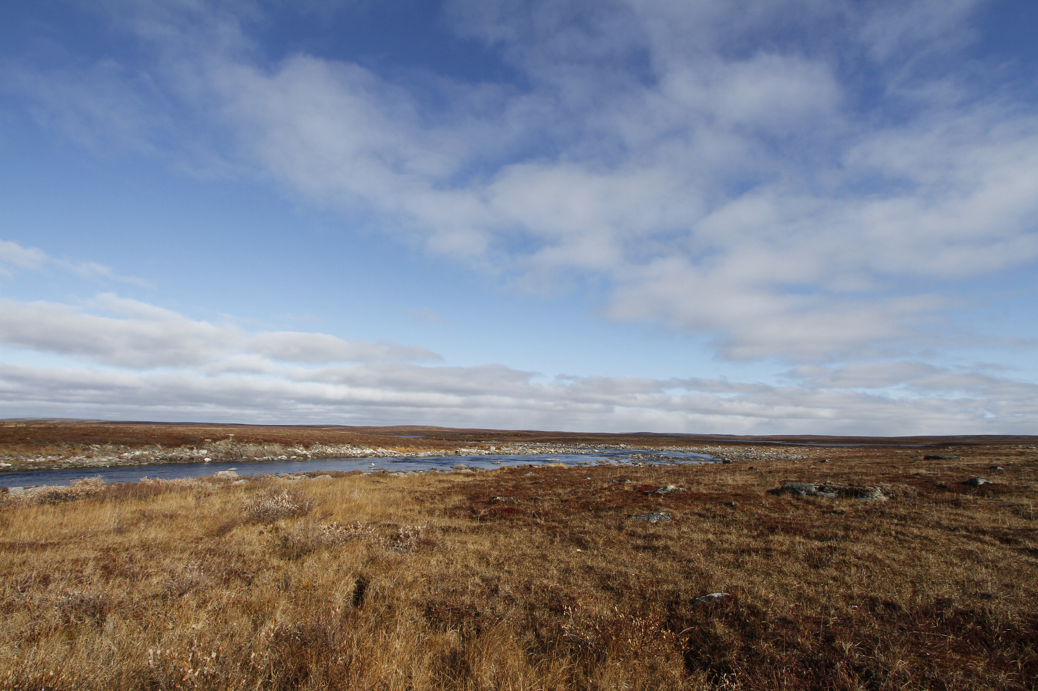 Canon EOS 7D sample photo. Flat arctic landscape in the summer with blue skies and soft clouds photography