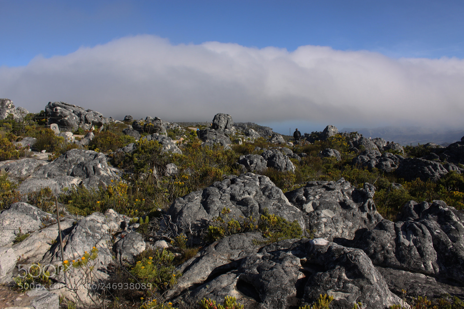 Canon EOS 50D sample photo. Table mountain photography