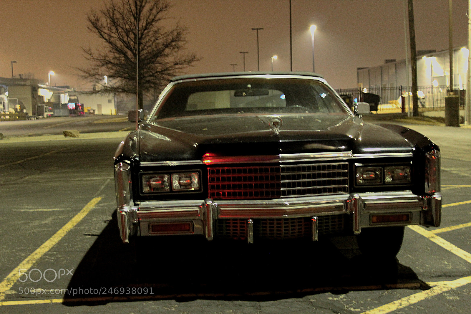 Canon EF-S 18-55mm F3.5-5.6 III sample photo. Caddy photography