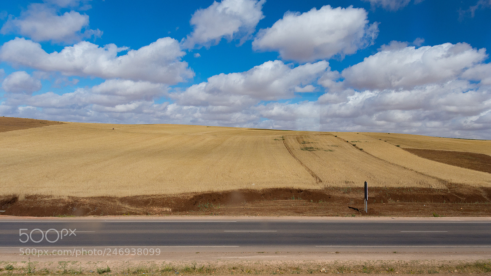 Nikon D7200 sample photo. Picture from a train photography