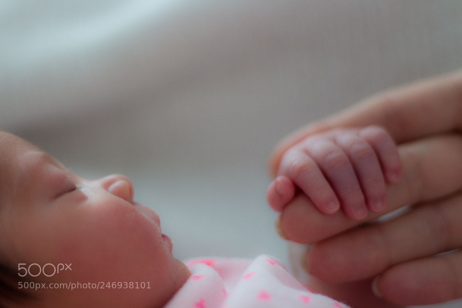 Canon EOS 700D (EOS Rebel T5i / EOS Kiss X7i) sample photo. Hold my hand? photography