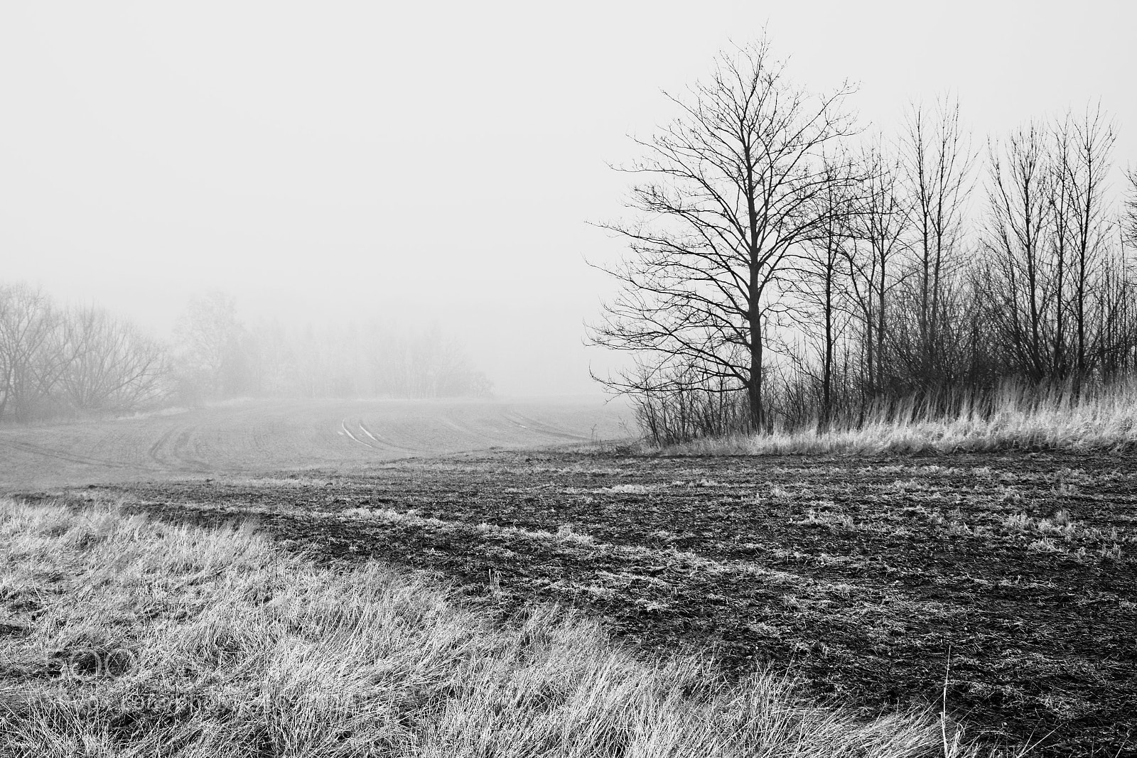 Nikon D5200 sample photo. Field photography