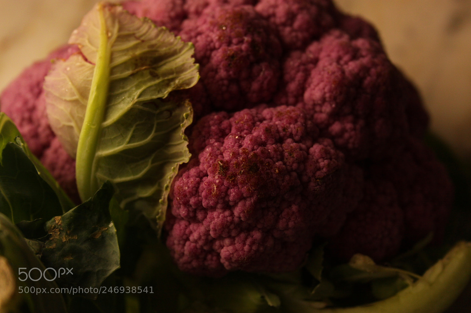Canon EOS 50D sample photo. Purple cauliflower photography