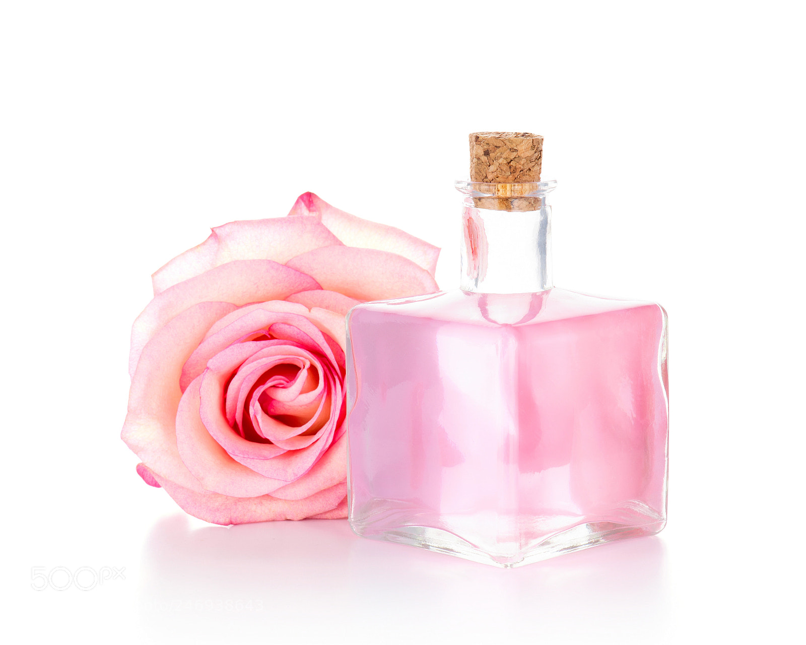 Nikon D700 sample photo. Pink rose and glass photography