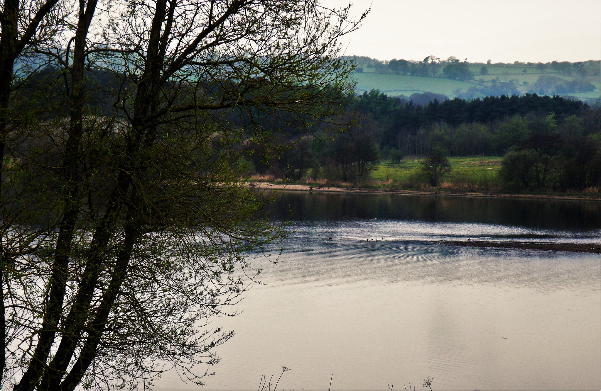 Fujifilm FinePix S8100fd sample photo. Blithfield reservoir photography