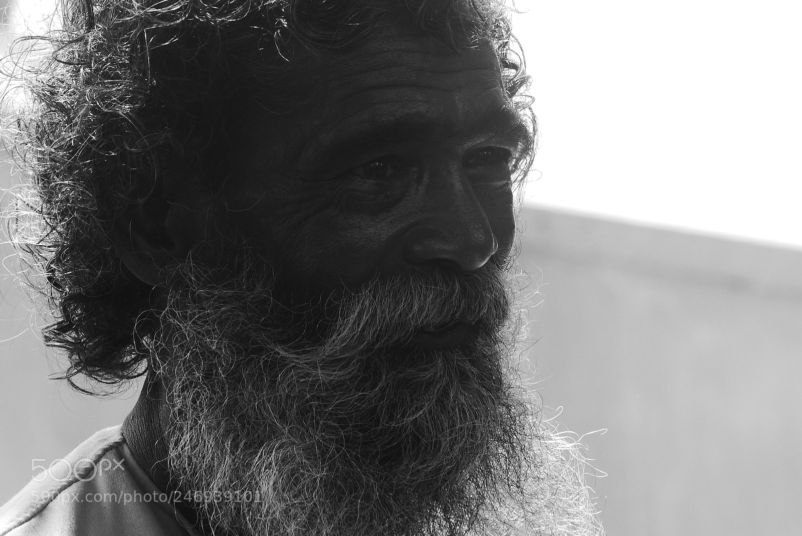Panasonic Lumix DMC-FZ200 sample photo. ... photography