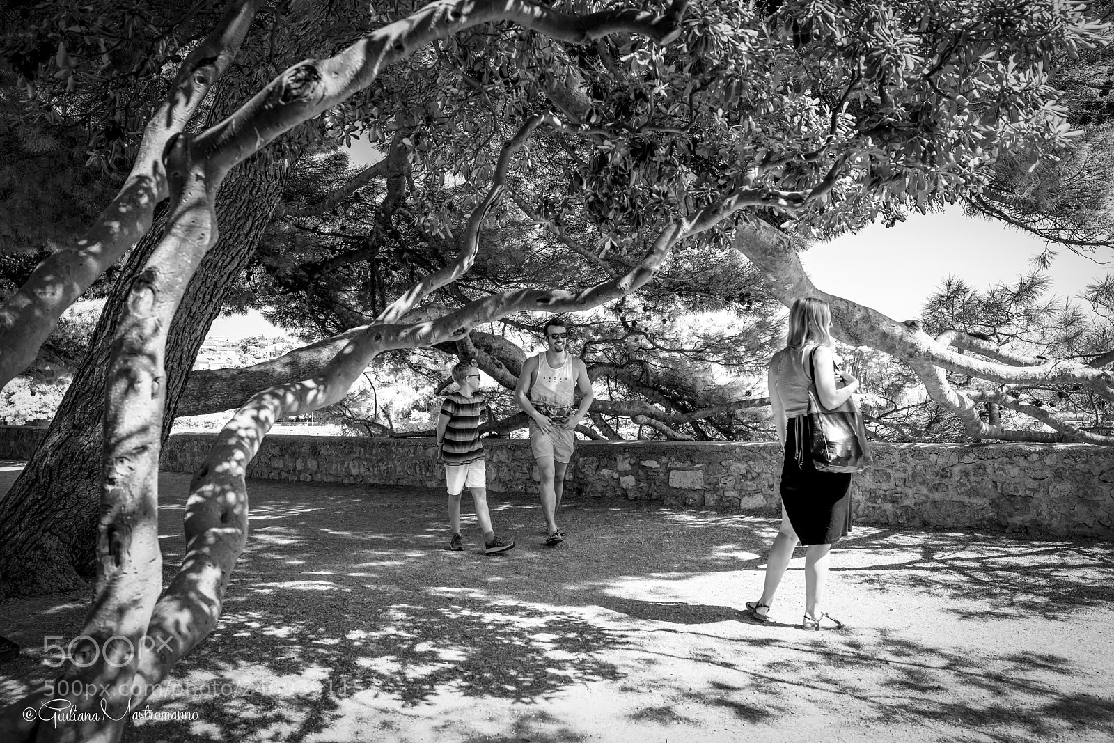 Sony a7R II sample photo. Under the tree photography