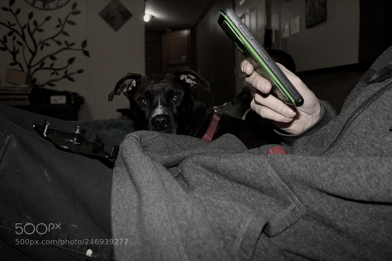 Canon EF-S 18-55mm F3.5-5.6 III sample photo. Wyla photography