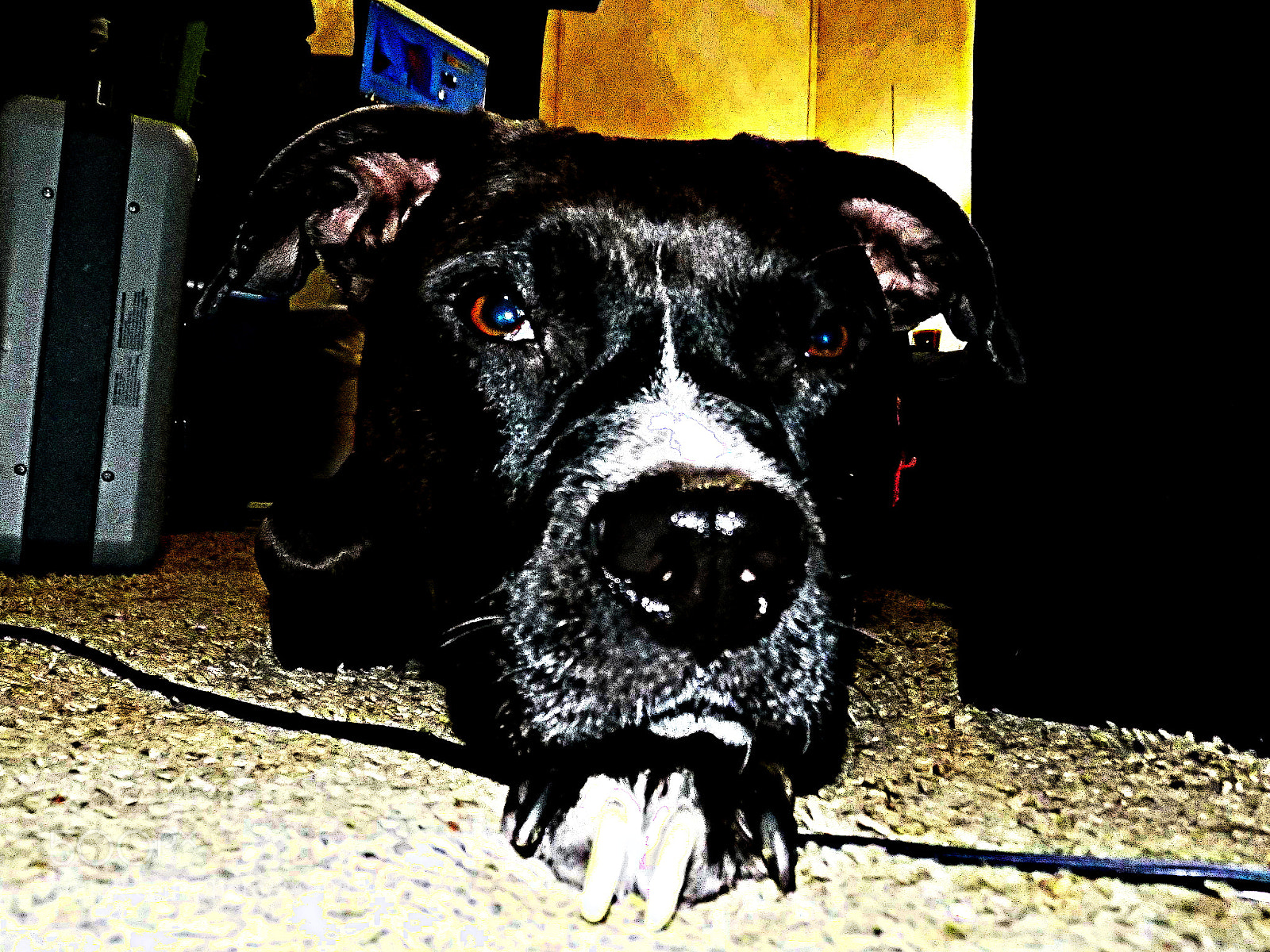 Nikon COOLPIX L340 sample photo. Zersey photography