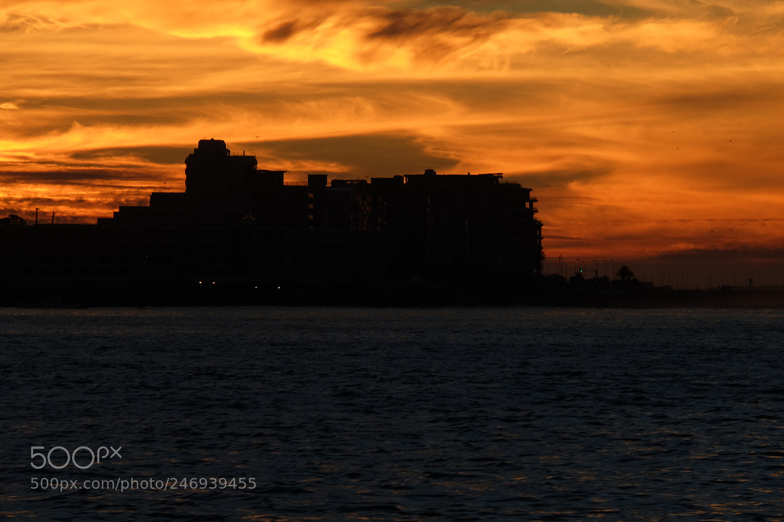 Fujifilm X-M1 sample photo. Silhouettes at sunset photography