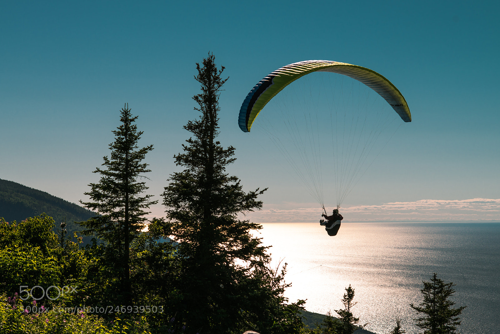 Nikon D800 sample photo. Free flight festival, mont-saint-pierre photography