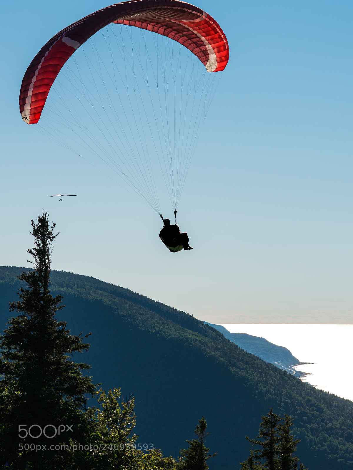 Nikon D800 sample photo. Free flight festival, mont-saint-pierre photography