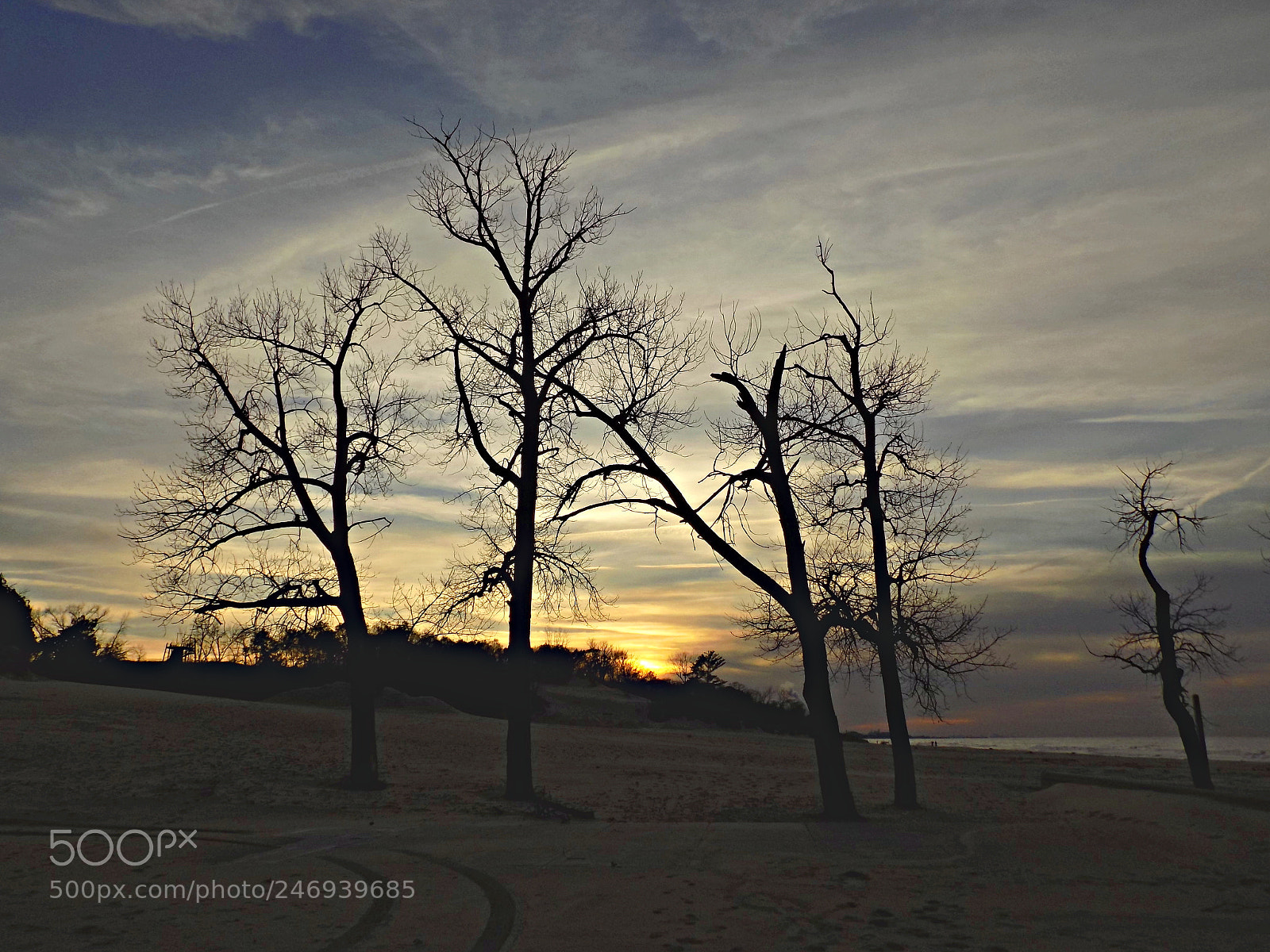 Nikon COOLPIX L340 sample photo. Beachtress photography
