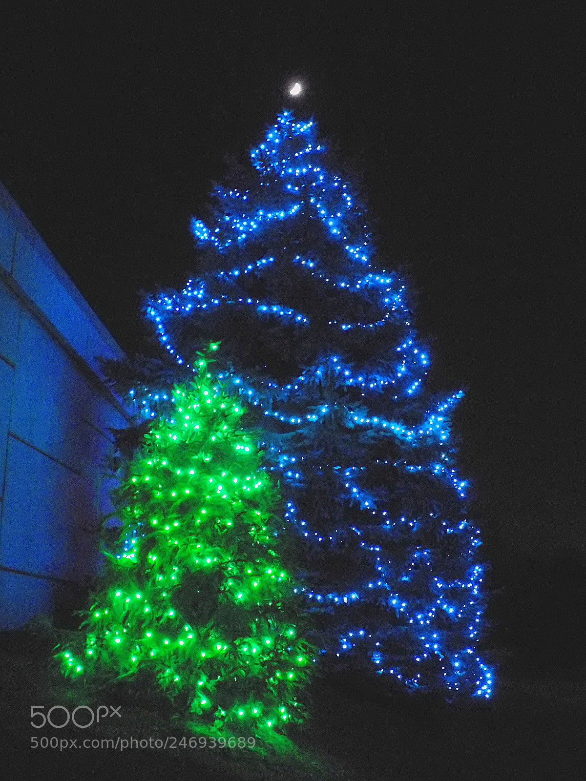 Nikon COOLPIX L340 sample photo. Bluegreen photography