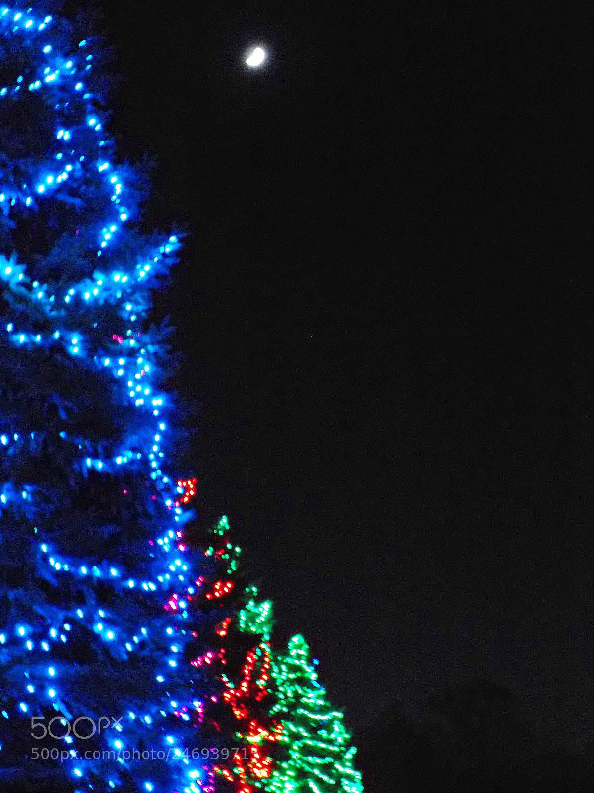 Nikon COOLPIX L340 sample photo. Blueredgreenmoon photography