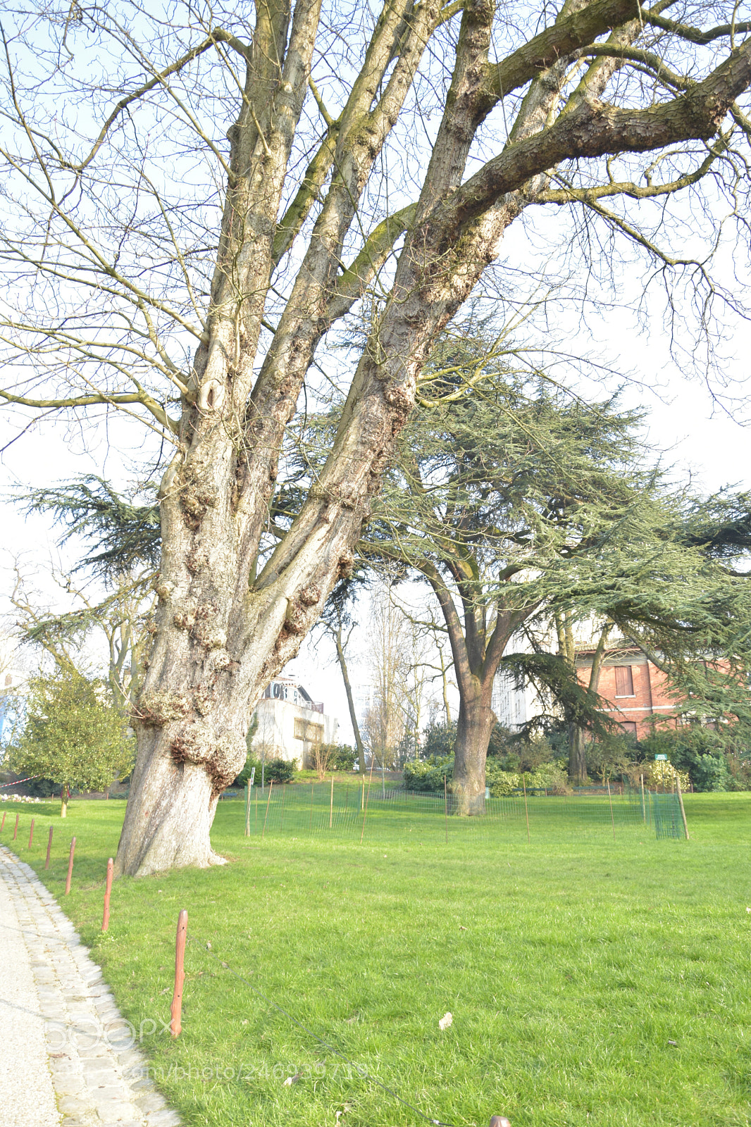 Nikon D3400 sample photo. Buttechaumont photography