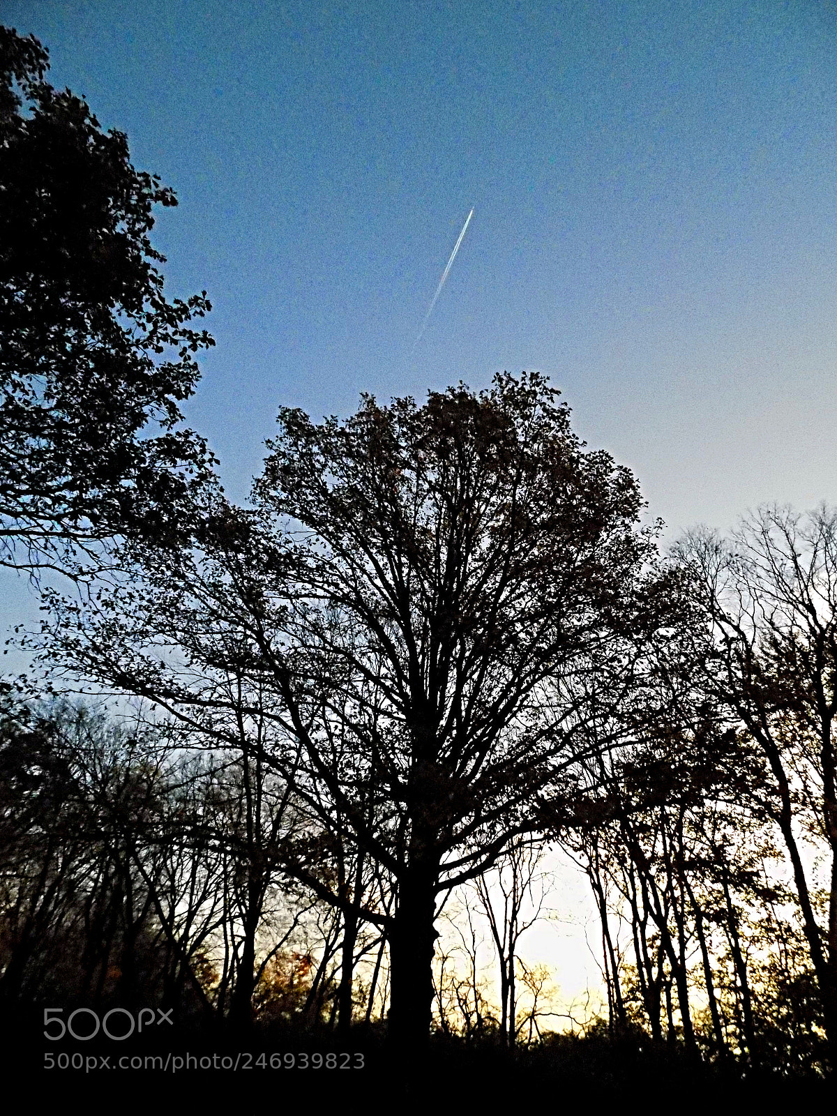 Nikon COOLPIX L340 sample photo. Chem photography
