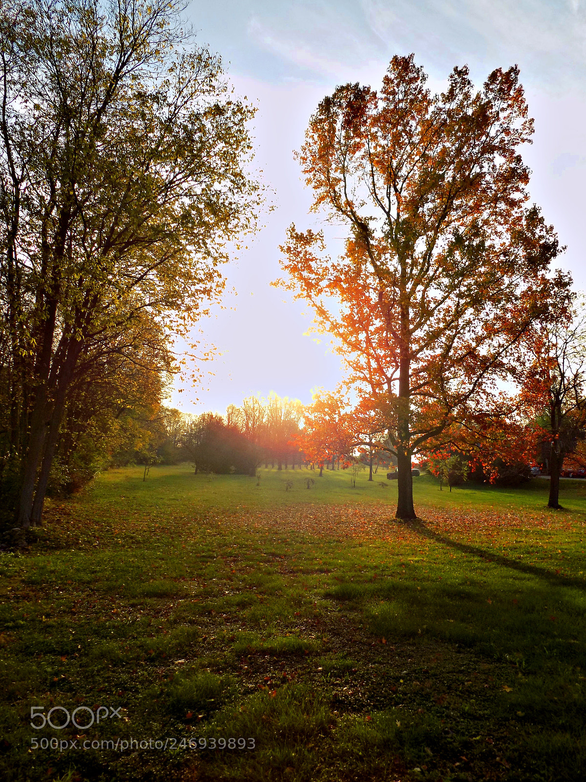 Nikon COOLPIX L340 sample photo. Fallsunrise photography