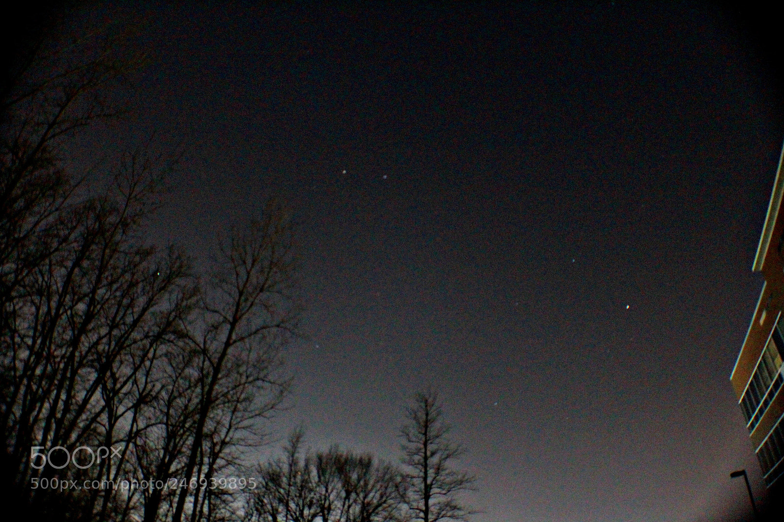 Canon EF-S 18-55mm F3.5-5.6 III sample photo. Elcrosspoint photography